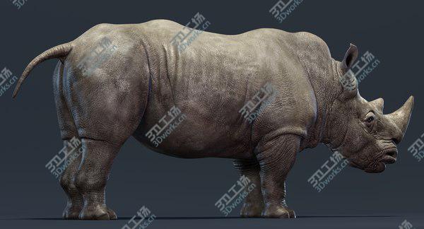 images/goods_img/20210312/Rhino Family 3D/5.jpg